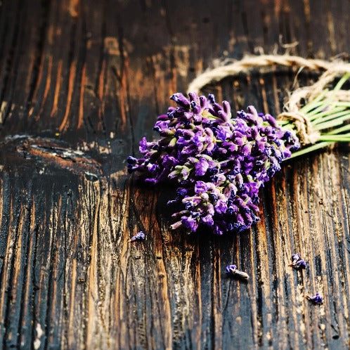BLACK AMBER & LAVENDER
